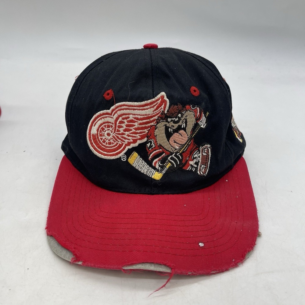 Redwings Hockey Tasmanian Hat OSFA Youth Taz Devil Snapback Looney Tunes Sports